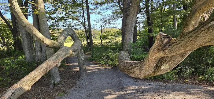 Blue Knob State Park Campground 0