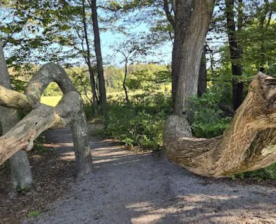 Blue Knob State Park Campground