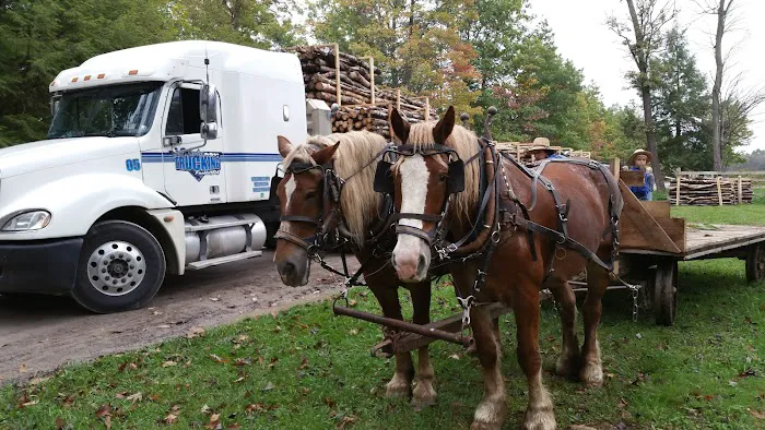 Rocky Top Campgrounds 2