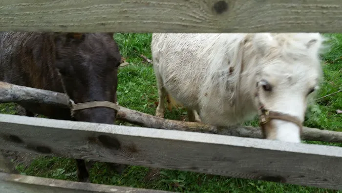 Rocky Top Campgrounds 1