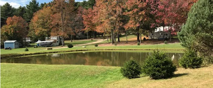 Timeless Trails Camping and Cabins 4