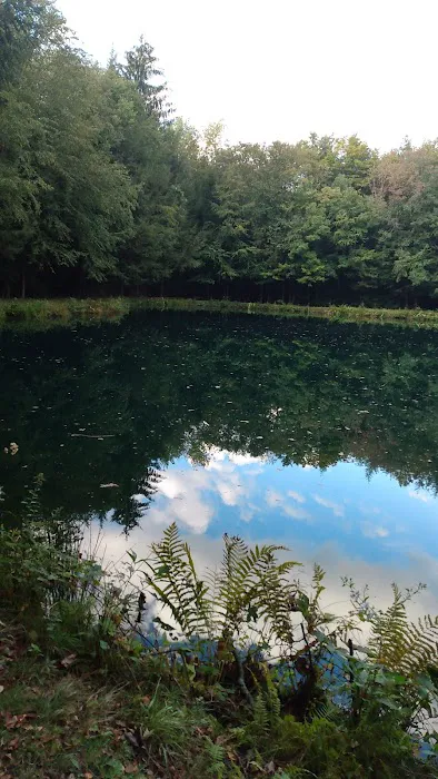 Woodland Park Campground 2