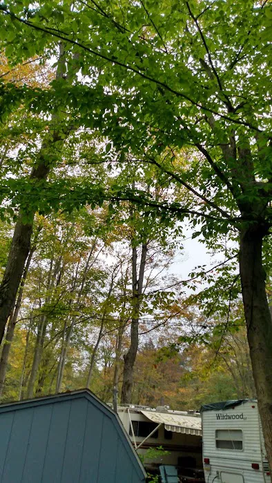 Woodland Park Campground 7