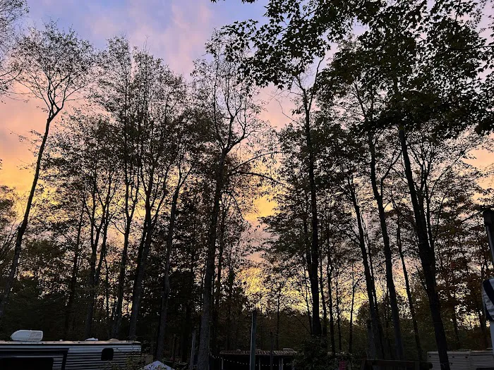 Woodland Park Campground 4