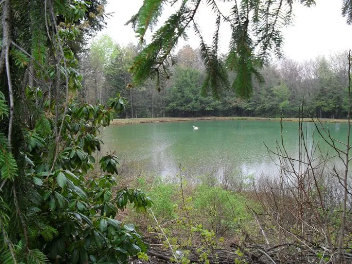 Woodland Park Campground 3