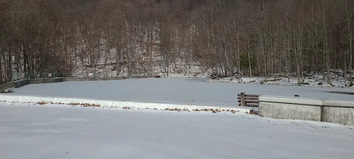 Nanty Glo Park and Pool 2