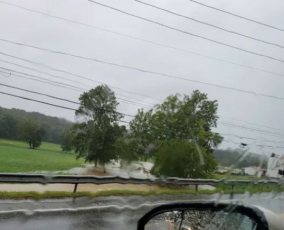 Pine Tree Mobile Home Park