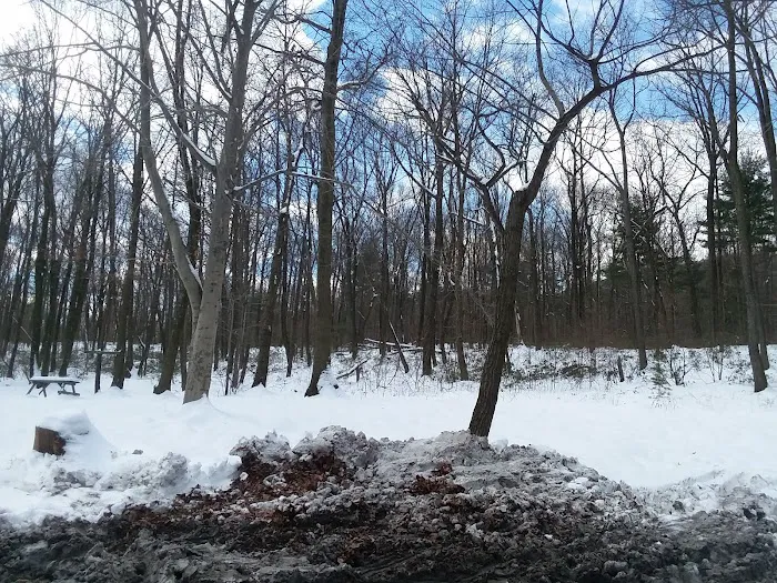 SunValley Campground 8