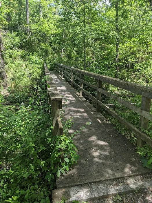 Little Pool Campground 2