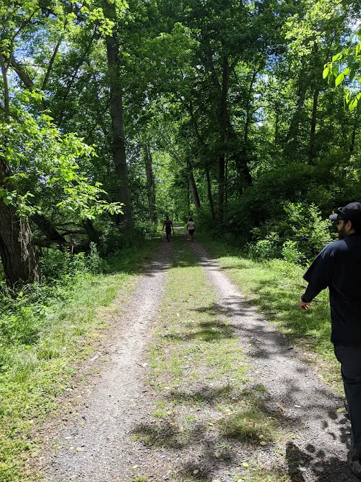 Little Pool Campground 5