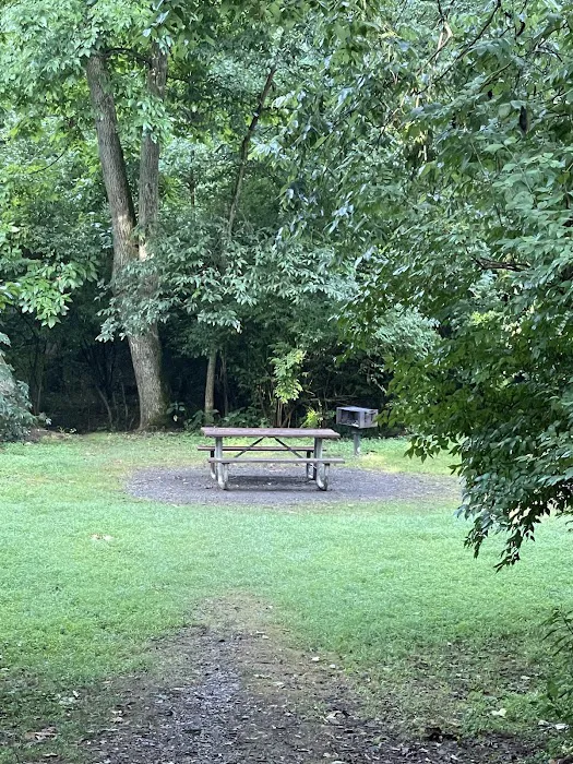 Licking Creek Hiker Biker Campsite 1