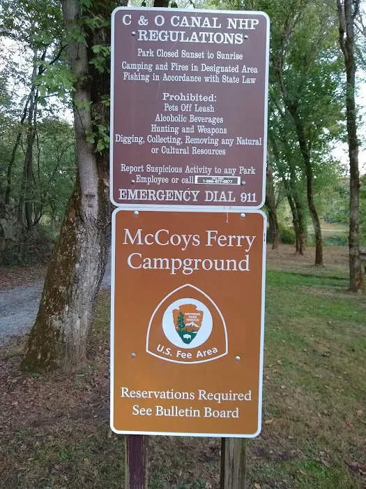 McCoys Ferry Campground 4