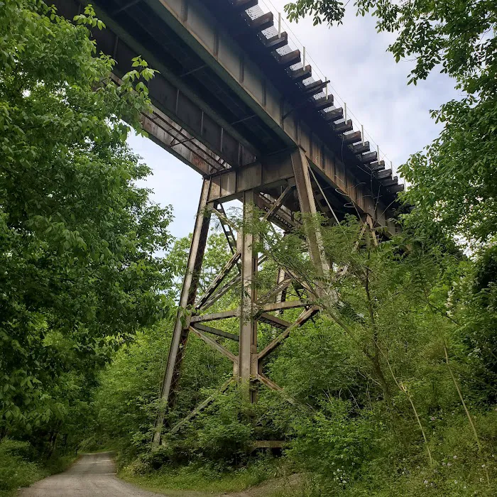 McCoys Ferry Campground 9