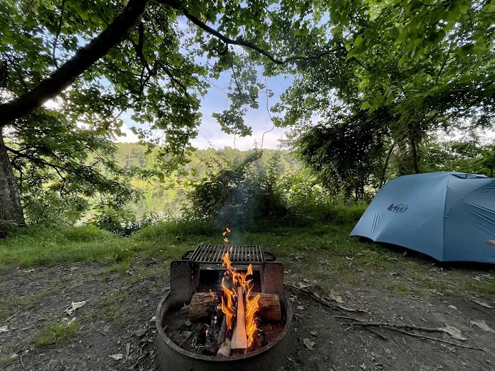 McCoys Ferry Campground 7