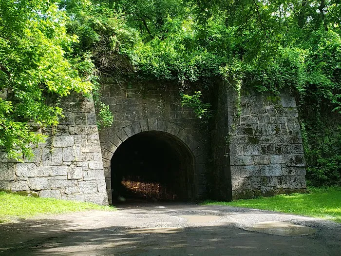McCoys Ferry Campground 0