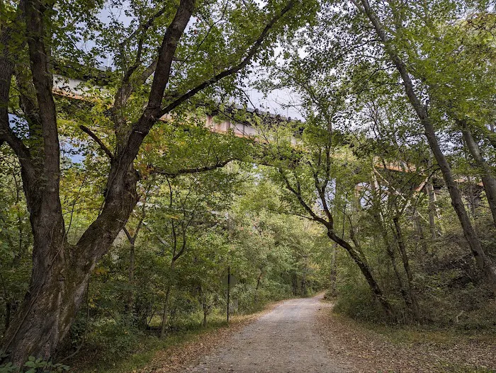 McCoys Ferry Campground 3