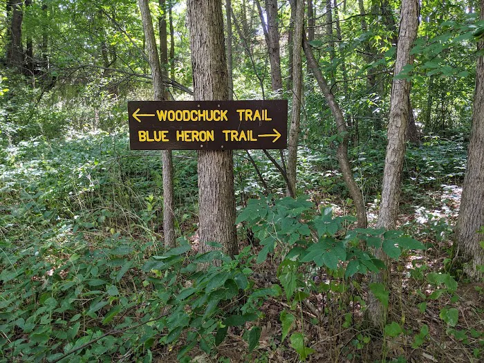 Twin Cedars of Avon 7