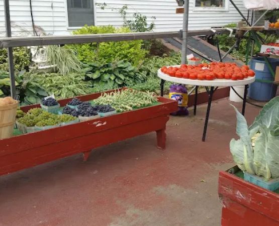 Tajmahal Mobile Home Park