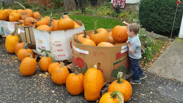 Tajmahal Mobile Home Park 2