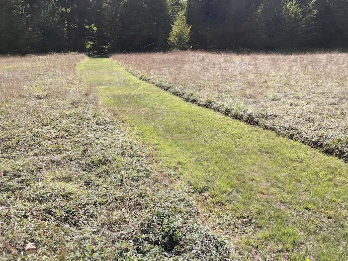 Hearts Content Campground 2