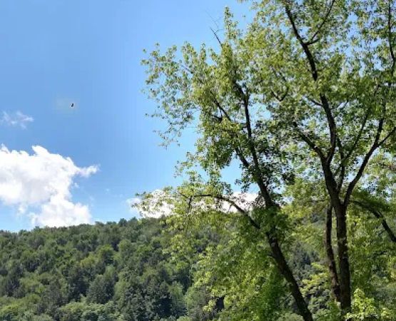 Riverview Campground