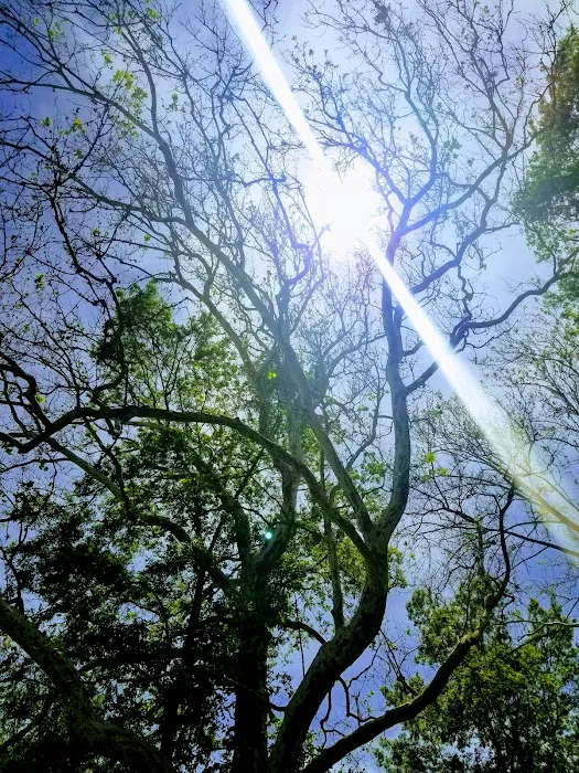 Riverview Campground 8