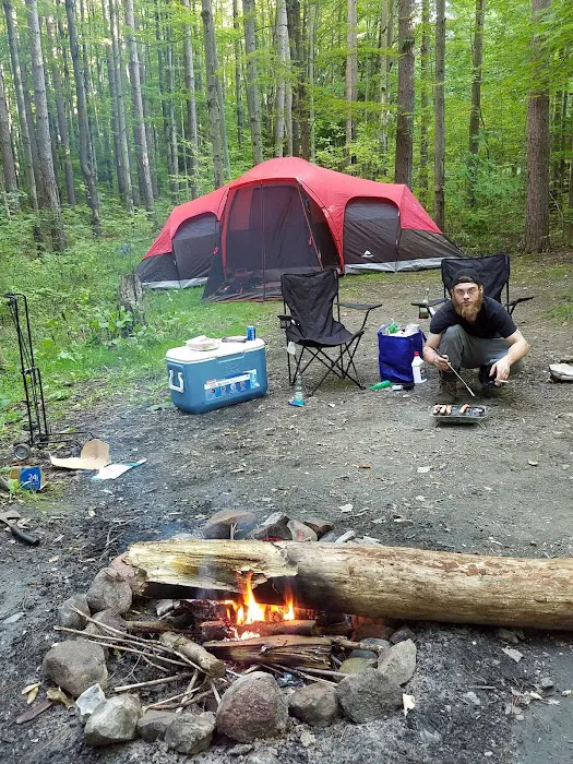 East Otto State Forest Campground 7