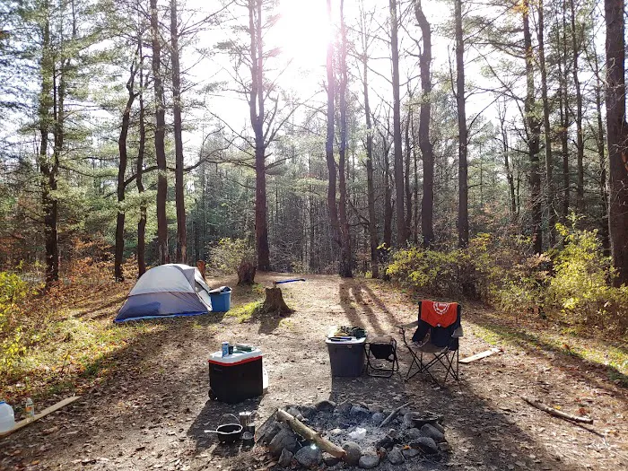 East Otto State Forest Campground 0