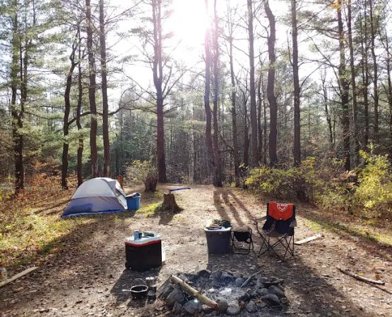 East Otto State Forest Campground