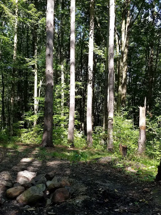East Otto State Forest Campground 2