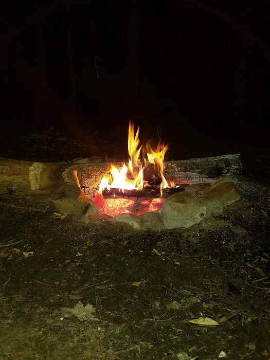 East Otto State Forest Campground 9