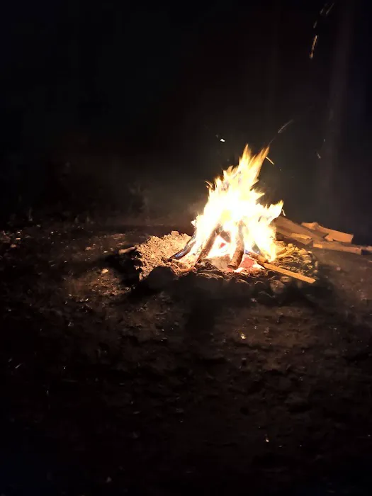 East Otto State Forest Campground 6