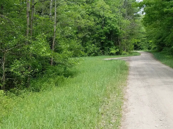 East Otto State Forest Campground 4