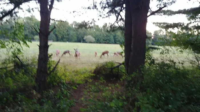 Bear Claw Campground 8