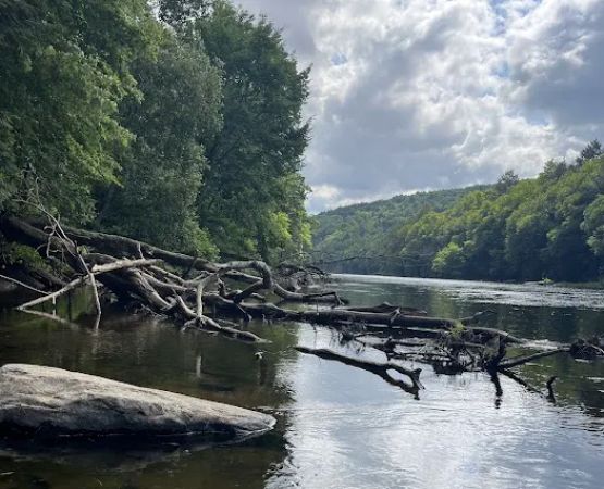 Loleta Recreation Area