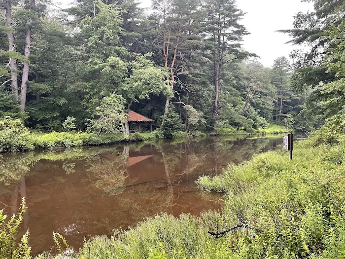 Loleta Recreation Area 4