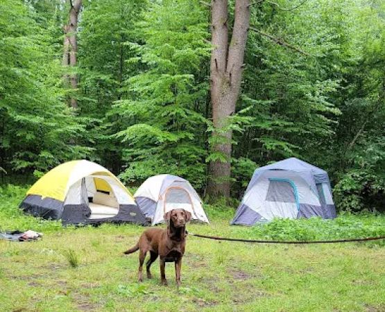 Millstone Campground