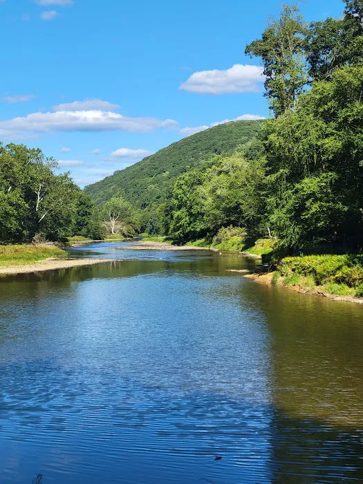 Kellettville Recreation Area Campground 8