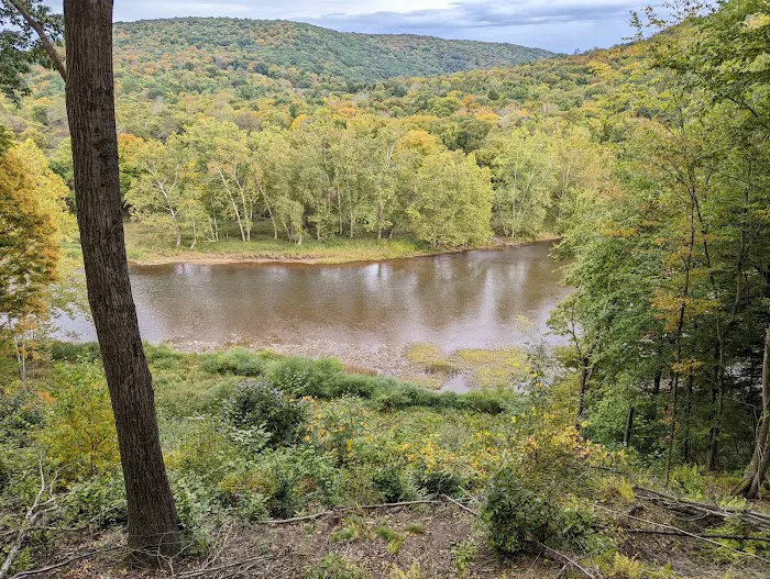 Kellettville Recreation Area Campground 6