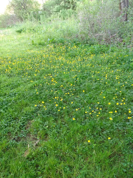 Kellettville Recreation Area Campground 3