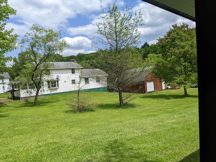 Kellettville Recreation Area Campground 5