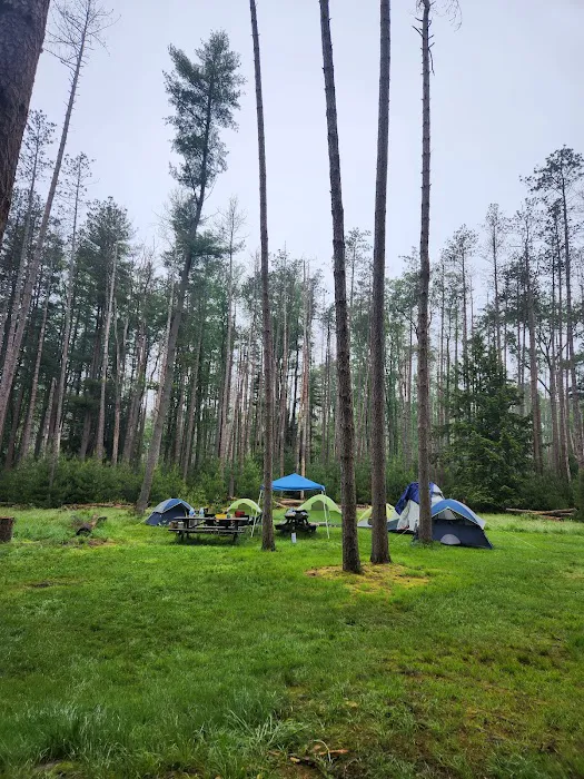 Cook Forest Group Sites 0