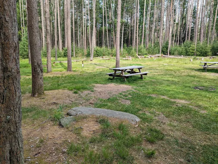 Cook Forest Group Sites 5