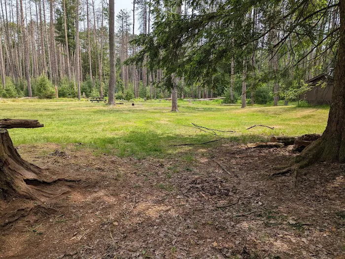 Cook Forest Group Sites 3