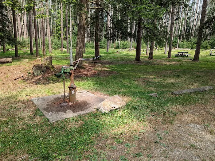 Cook Forest Group Sites 7