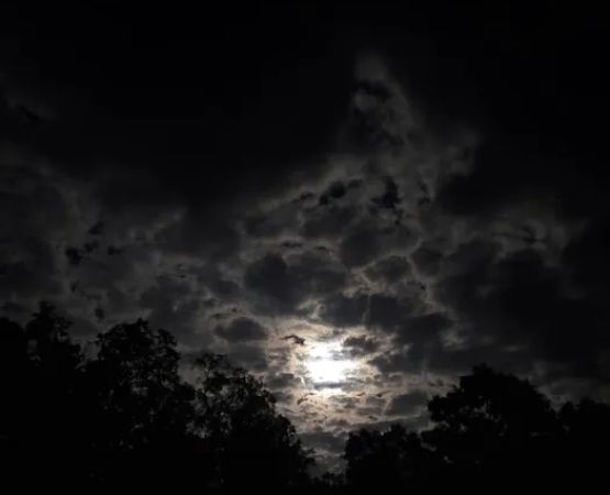 White's Haven Campground