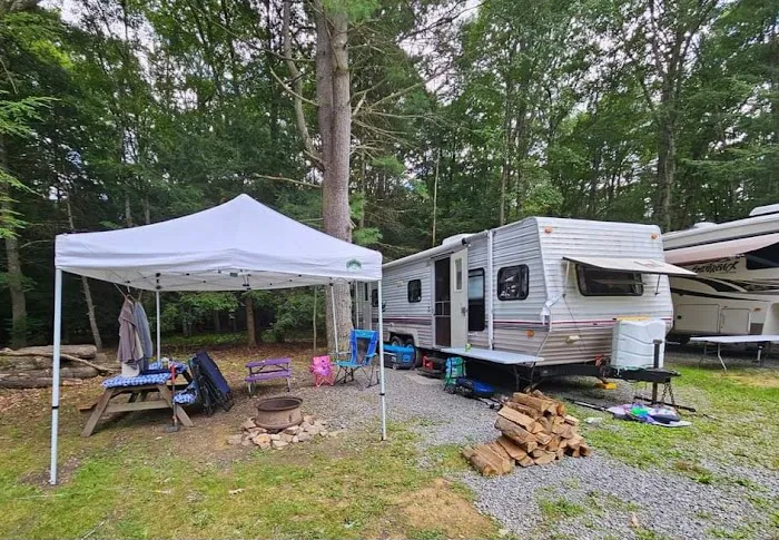 Colors of the Forest RV Resort and Campground 2