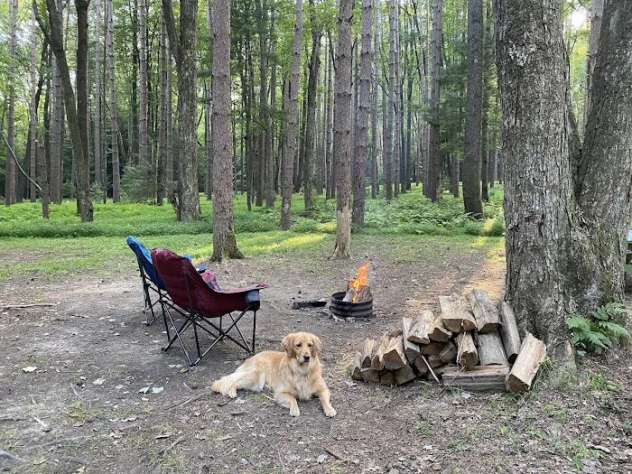 Colors of the Forest RV Resort and Campground 9