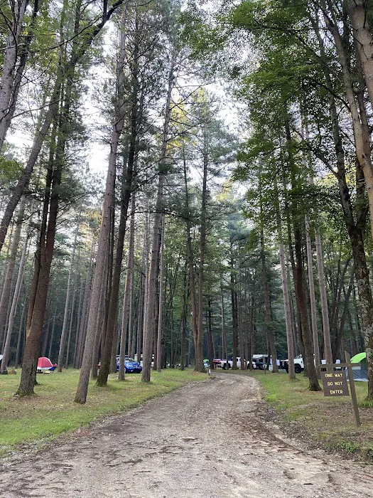 Ridge Campground At Cook Forest 5