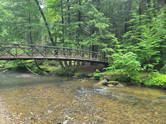Ridge Campground At Cook Forest 9